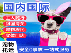 桃仙航空物流国际宠物托运 【国